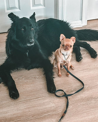 Zara and Reese - Bark in the Park.jpg