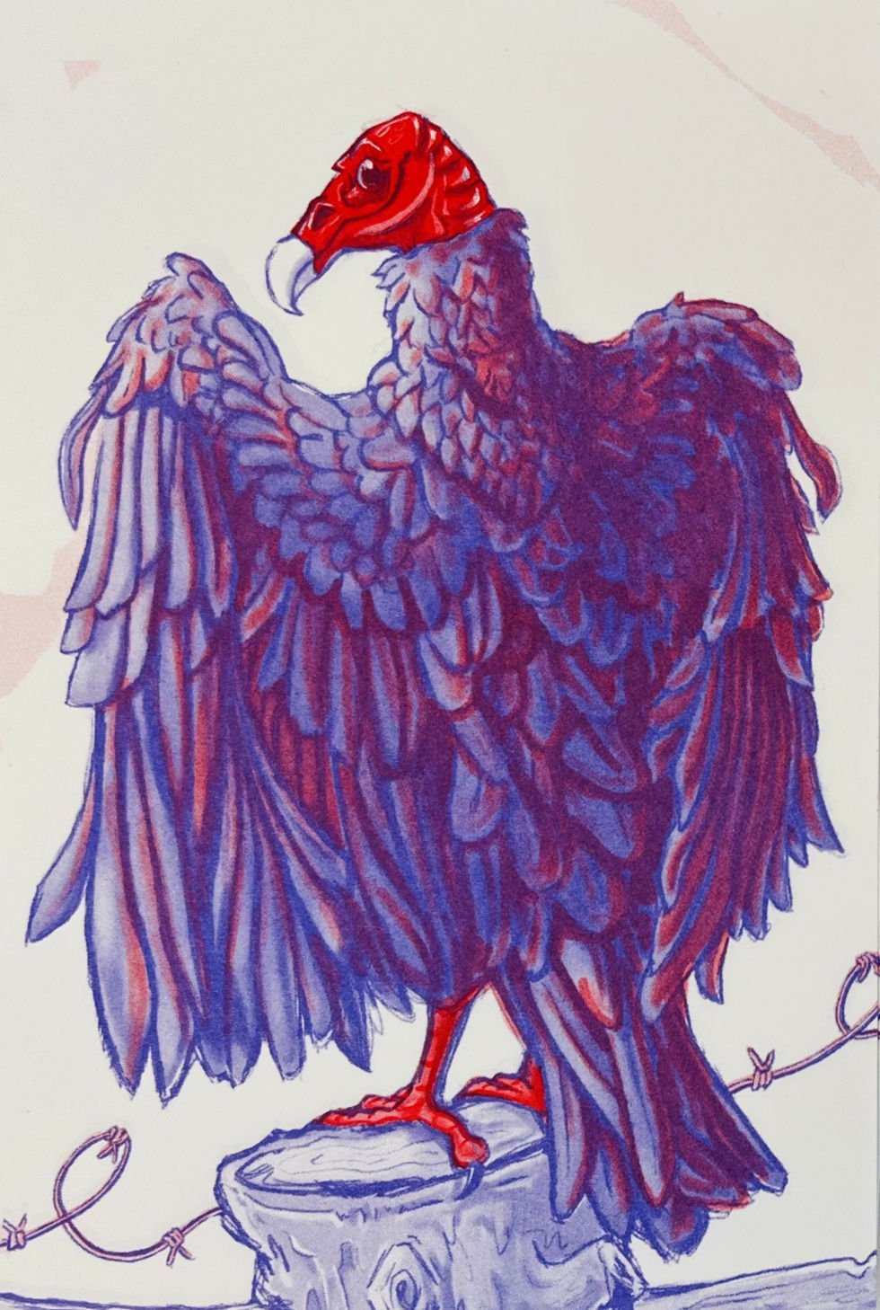 Vulture Risograph