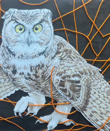 Scared and Snared.jpg