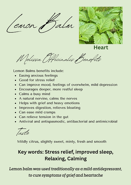 lemon balm.png