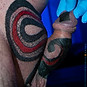 1-touka-voodoo-tatuering-stockholm-alternative-genital-tattoo-penistattoo-subincision_tatt