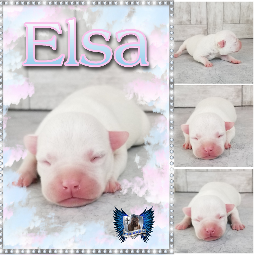 elsa