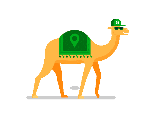 camel-min.gif