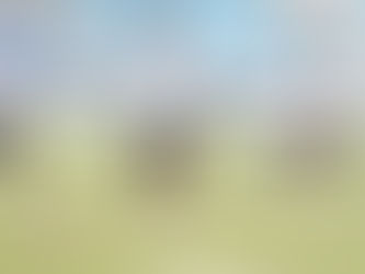 Herwin Saputra Kembali ke Lamongan, Siap Tambah Kekuatan Persela