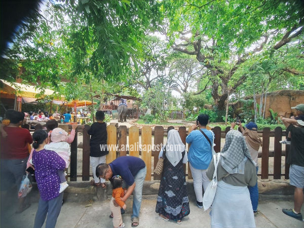Gajah dan Jerapah masih menjadi favorit di kalangan pengunjung,