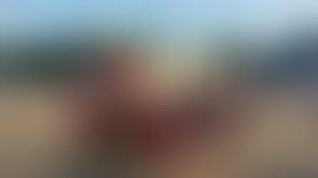Lomba Sampi Grumbungan Jadi Daya Tarik Lovina Festival 2026, Tradisi Buleleng Tetap Lestari
