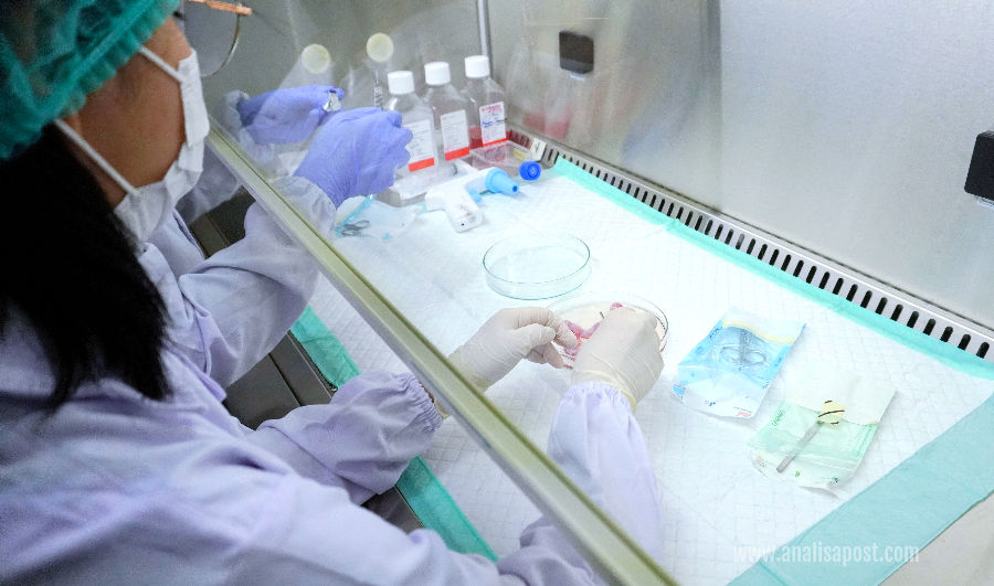 UKWMS mengembangkan riset sel punca (stem cell) sebagai upaya menghadapi tantangan penuaan dan penyakit degeneratif