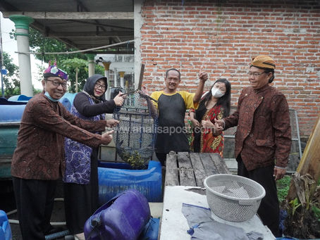 Pawitra Ajak Pelaku Seni Melihat Budidaya Lele