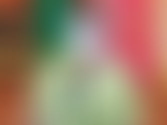 Gubernur NTT VBL Bilang Hentikan Polemik Soal Pelantikan Wakil Bupati Ende