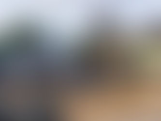 Rumah Milik Edianto Gultom Ludes Terbakar