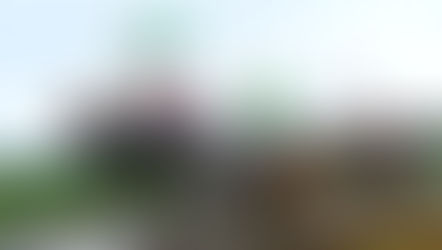 Bupati Cup 2025: Ribuan Warga Tumpah Ruah Saksikan Lomba Makepung di Pengambengan