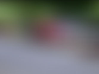 Ratusan Truk Kepung Kantor Gubernur, Forum Swakelola Sampah Bali Sampaikan Tiga Tuntutan