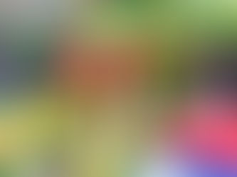 Perkuat Tata Kelola Pendidikan Usia Dini, Yayasan Dharma Wanita Lumajang Terima Kunjungan Bojonegoro