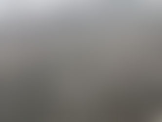 Ratusan Mangrove Benoa Mati, Dugaan Rembesan Pipa PT Pertamina Patra Niaga Menguat