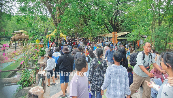 Libur Maulid Nabi, Kebun Binatang Surabaya Dipadati Pengunjung