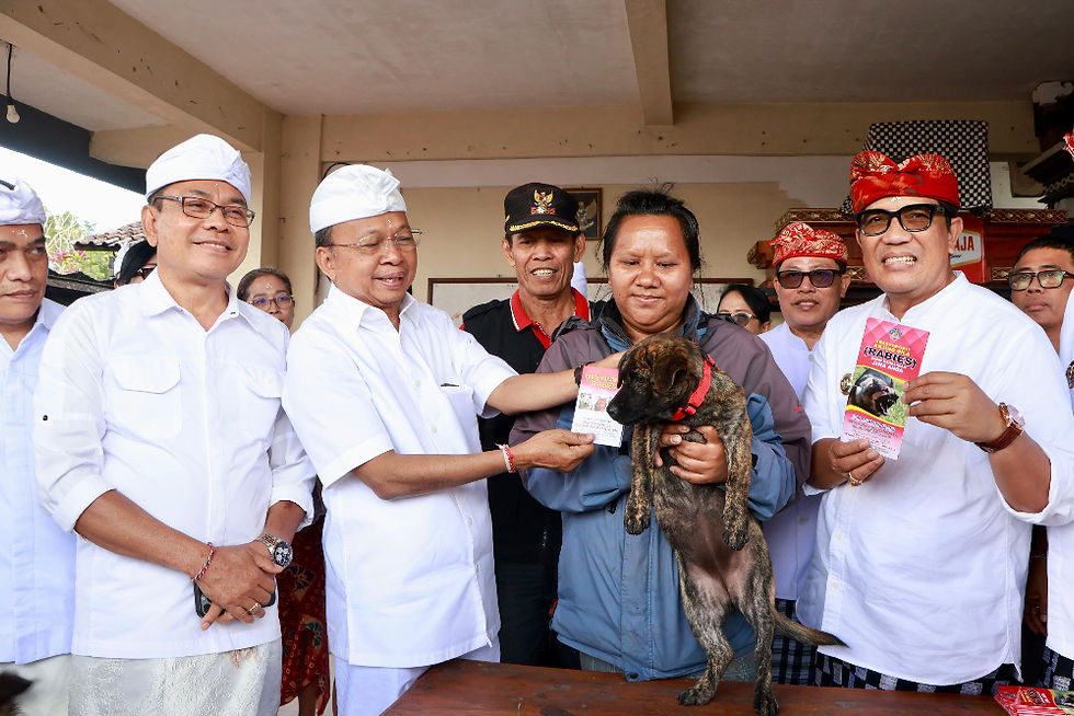 Salah satu kegiatan yang dilaksanakan adalah vaksinasi rabies dan sterilisasi massal HPR di sejumlah titik di seluruh kabupaten/kota se-Bali