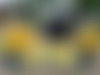 DPD I Partai Golkar Sumut Berbagi Di Jumat Barokah Di Jalan Sudirman Dan Sisingamangaraja