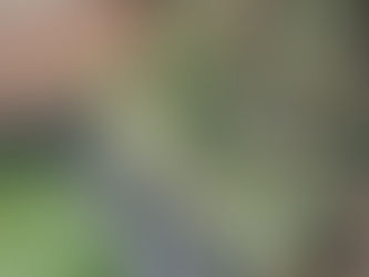 Cara Mengolah Lahan Yang Sempit Agar Bisa Menghasilkan