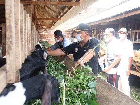 Bantu Warga Ratusan Ternak, Bupati Tamba Minta Pelihara Dengan Baik