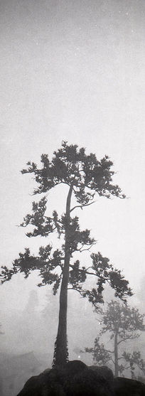 Seeker_8.jpg
