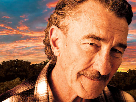 Fee Waybill Rides Again