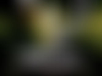 Hall of Fame Singer/Songwriter Daryl Hall Set for U.S., U.K. Dates with Squeeze’s Glenn Tilbrook Featuring Concert at London’s Famed Albert Hall May 19