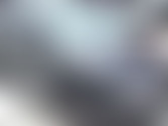 Un carro atropella a un perro, pero no sufre ni un rasguño gracias a su obesidad