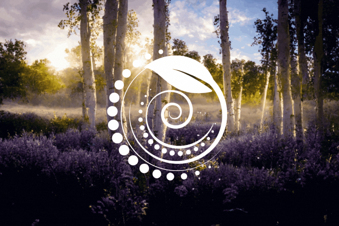 Background+logo(1080 × 720 px).gif