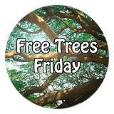 Free Trees Friday Omni Orbnis-34.png