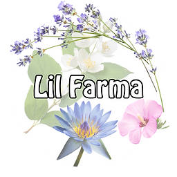 Lil Farma Omni Orbnis-1.png