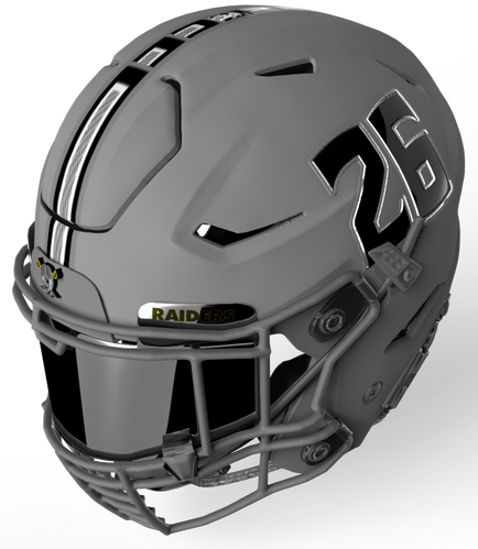 Raiders_04_edited.png