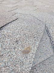 20250117_134802 (1).jpg