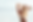 pic8.png