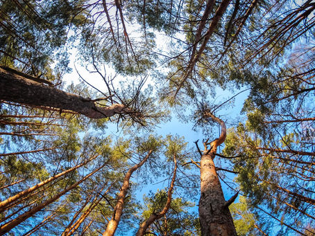 Bruk og kast må bli dyrere