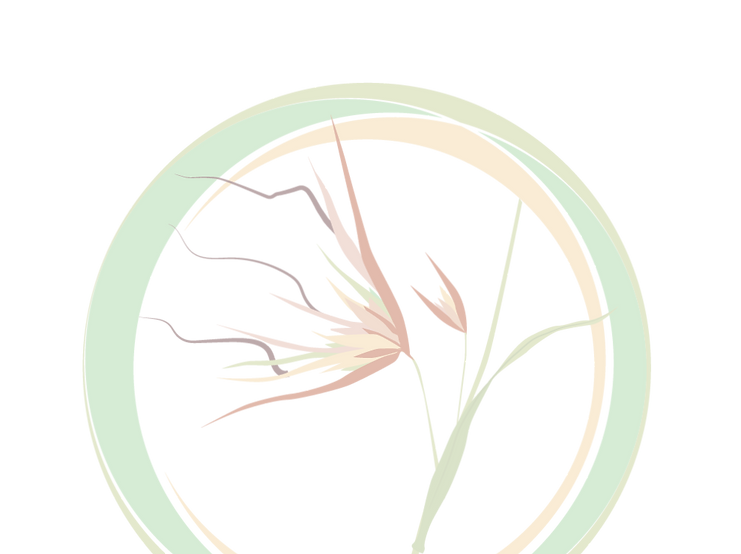 SE_LOGO_CIRCLE_Clear-06_edited_edited_edited.png
