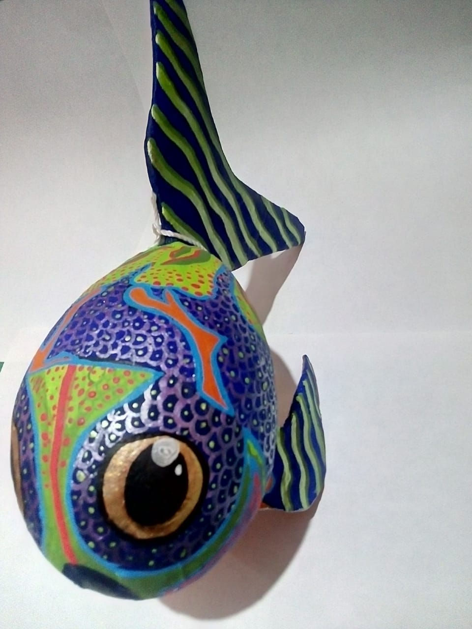 Miniatura: Peces Mexicanos Diseño Exclusivo
