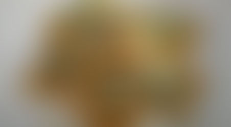 RAVIOLI DI RICOTTA E BROCCOLO FIOLARO CON NOCI