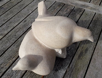 20200218_124059 - Copy.jpg