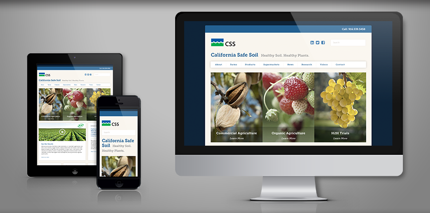 Website Premium Package