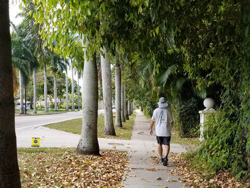 2020 April: Locked Down and Social-distancing in Fort Myers, FL