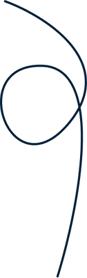 Vector 14-1.png