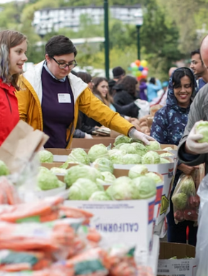 How to Stay Fed During the SNAP Shutdown