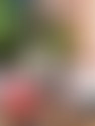 The Oregon Labor Dispatch: October 9, 2025