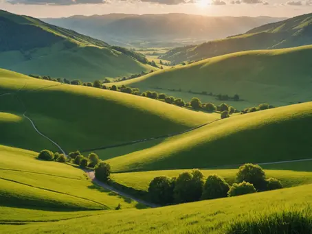 The Surprising Impact of Mindfulness on Chronic Pain: A New Perspective