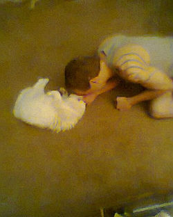 Photo0043