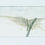 Thumbnail: Senior Art Show: Watercolors - 1975