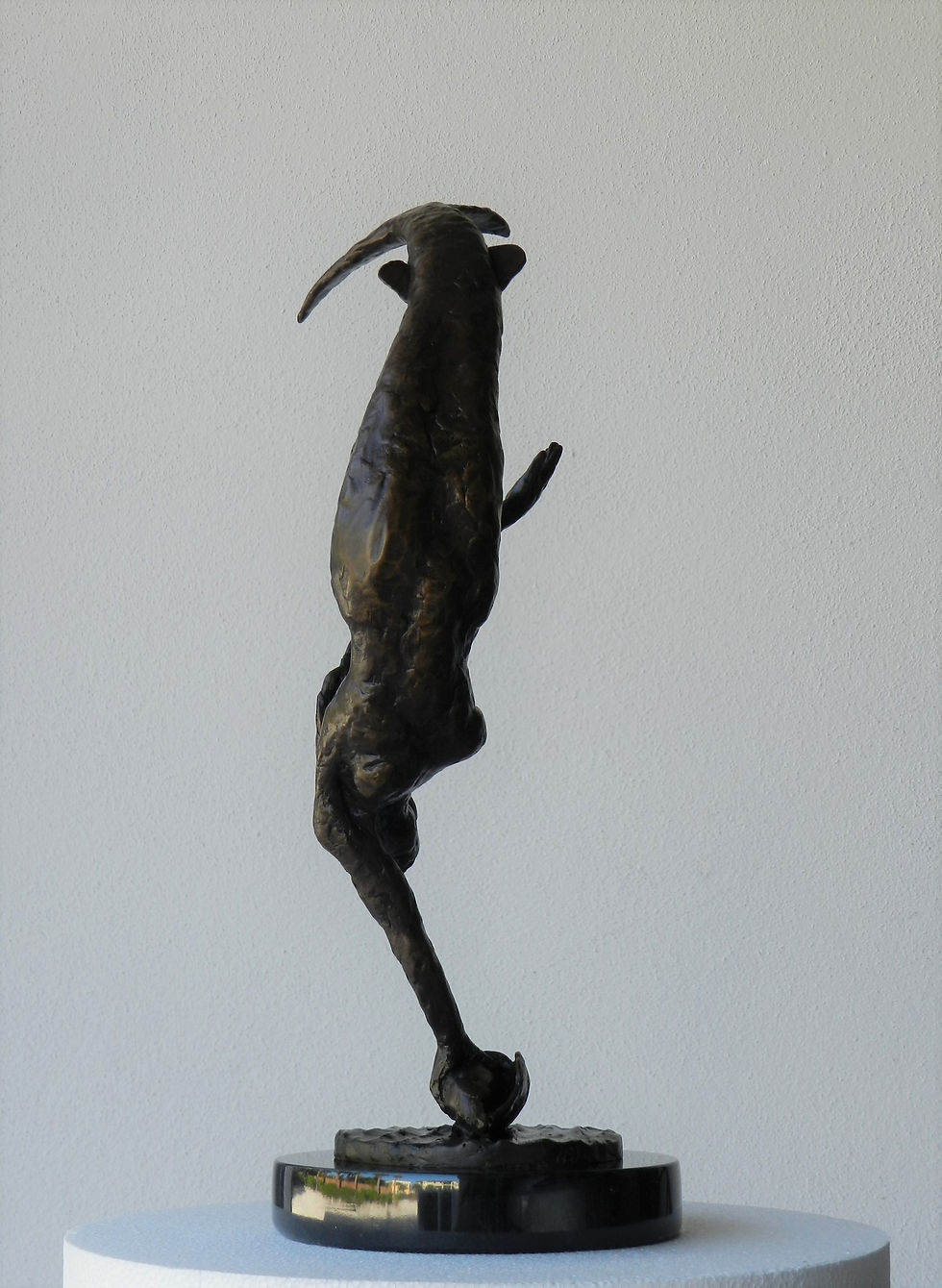 Thumbnail: Mermaid Diving