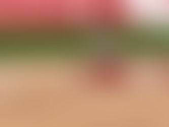 Recap | Softball motors past UAB