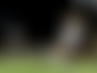 Preview | Alabama soccer to face off against LSU in SEC tournament