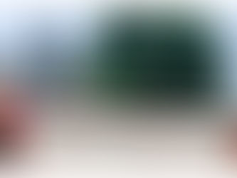 Ally Shipman Ready For New Environment, Challenge At Alabama